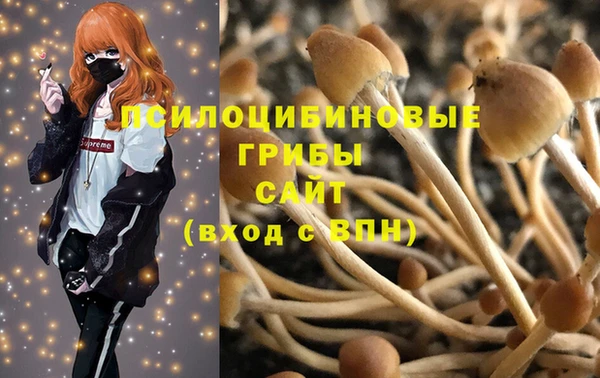 гидропоника Белокуриха