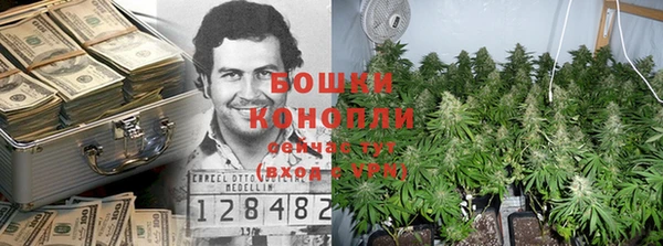 гидропоника Белокуриха