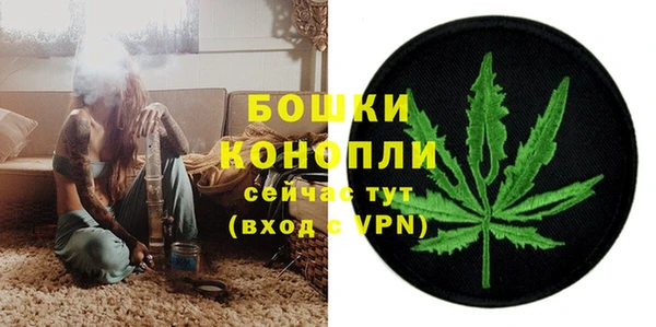 гидропоника Белокуриха