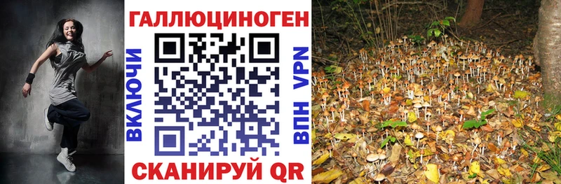 Псилоцибиновые грибы ЛСД  это телеграм  Куйбышев 